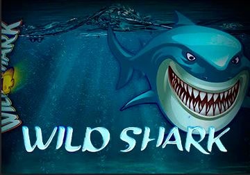 slot Wild Shark